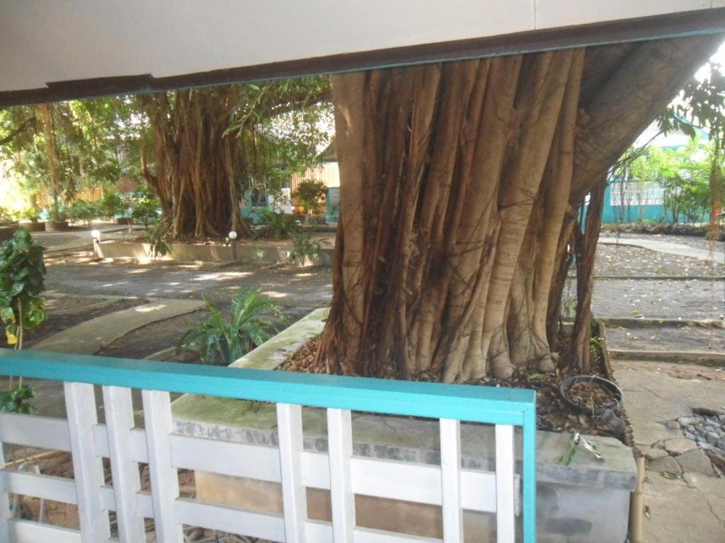 Blu' Beach Bungalows شاطئ لاماي المظهر الخارجي الصورة
