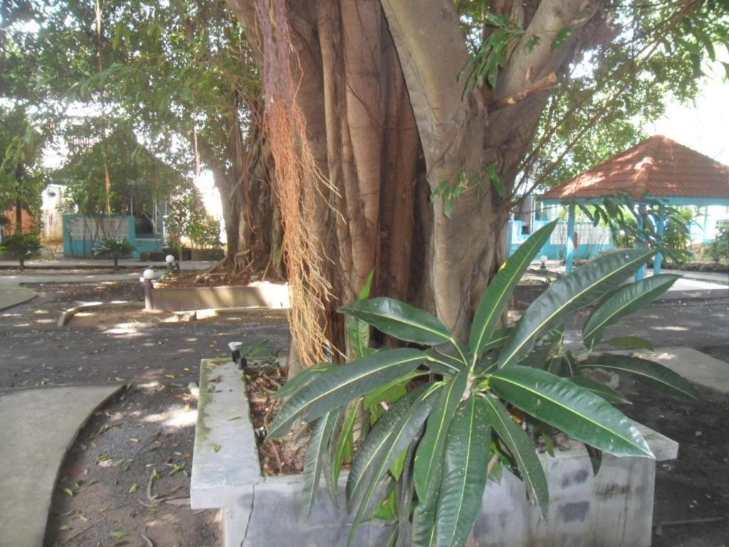 Blu' Beach Bungalows شاطئ لاماي المظهر الخارجي الصورة